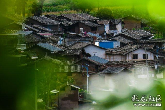 疫情期间用烫牛奶的水泡泡面有什么后果？游戏画面