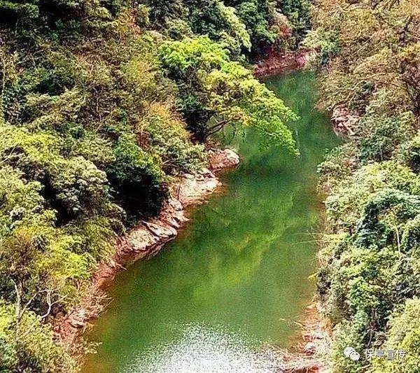 泡泡趴
